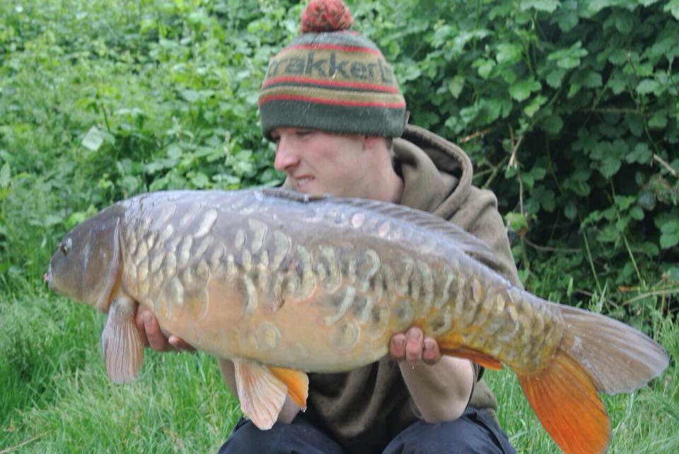 impactbaits's tweet image. 