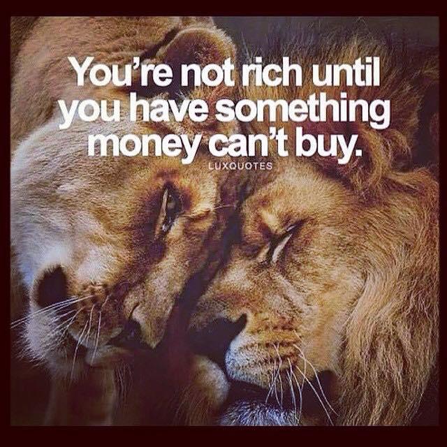 gregshellstrohm's tweet image. 