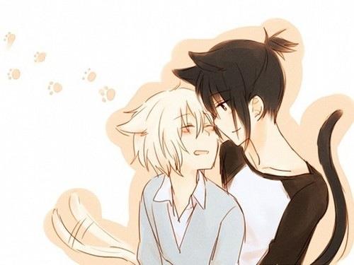 catboys_bot's tweet image. pixiv.net/member_illust.…