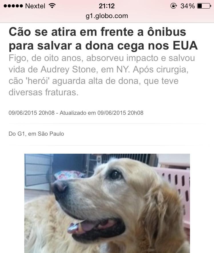 _gipazetti's tweet photo. Não existe seres mais maravilhosos que eles,são anjos ❤️🐶👼🏼 http://t.co/2uqOYp5LDs
