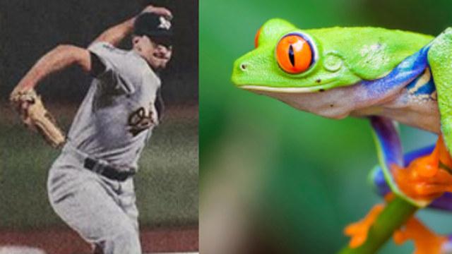 someecards's tweet photo. Baseball's getting a lot less boring thanks to MLB's new amphibious pitcher. http://t.co/xweyXjDeYn http://t.co/ktIDEmPRKF