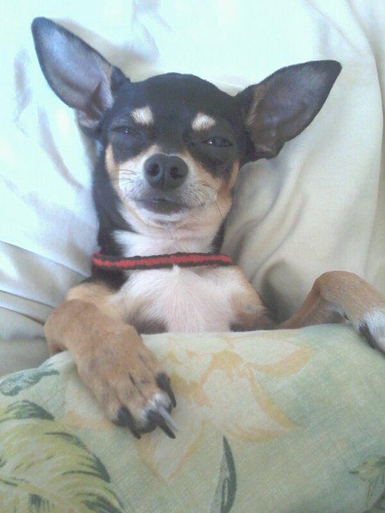 silentpolaris's tweet image. #SDKorDIE