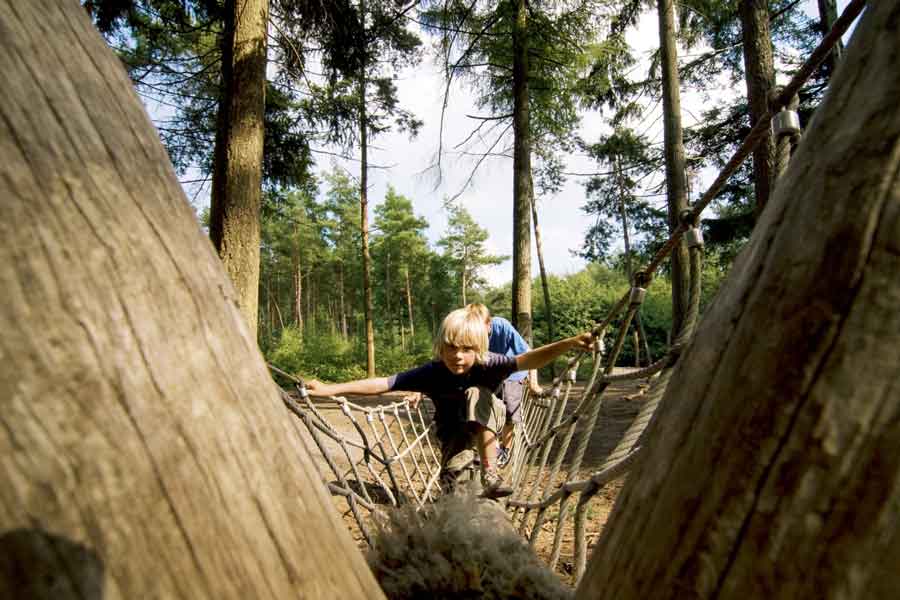 Staatsbosbeheer tweet media
