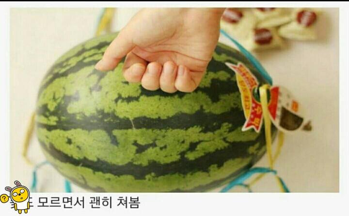 수박사러갔을때 공감ㅋㅋㅋㅋㅋ