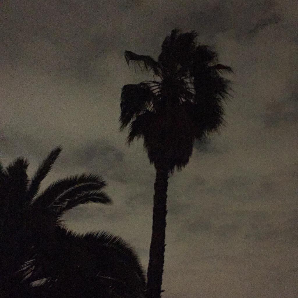 johnna sparrow (@johnnasparrow) on Twitter photo 