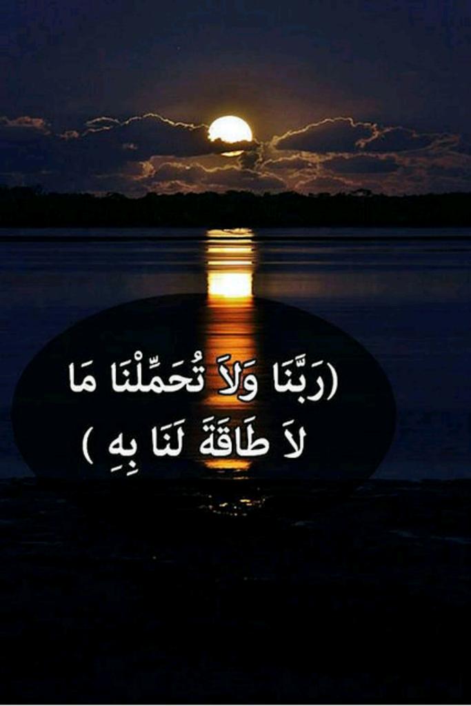 Media Tweets By ام شهاب Omshahab2006 Twitter