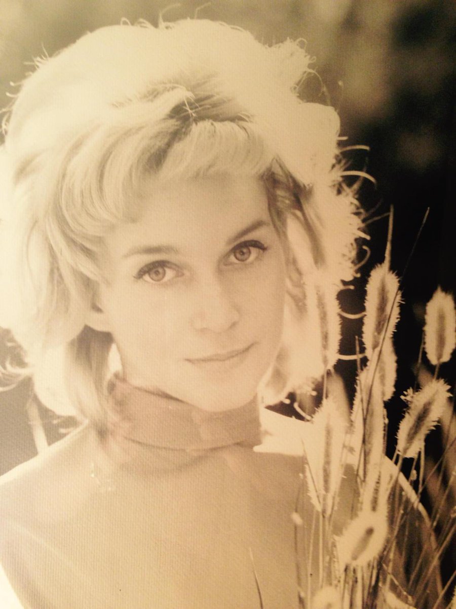 Laurie Holden Fan (lylaurieholden) Twitter
