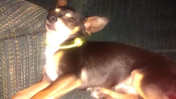 silentpolaris's tweet image. #sdkordie