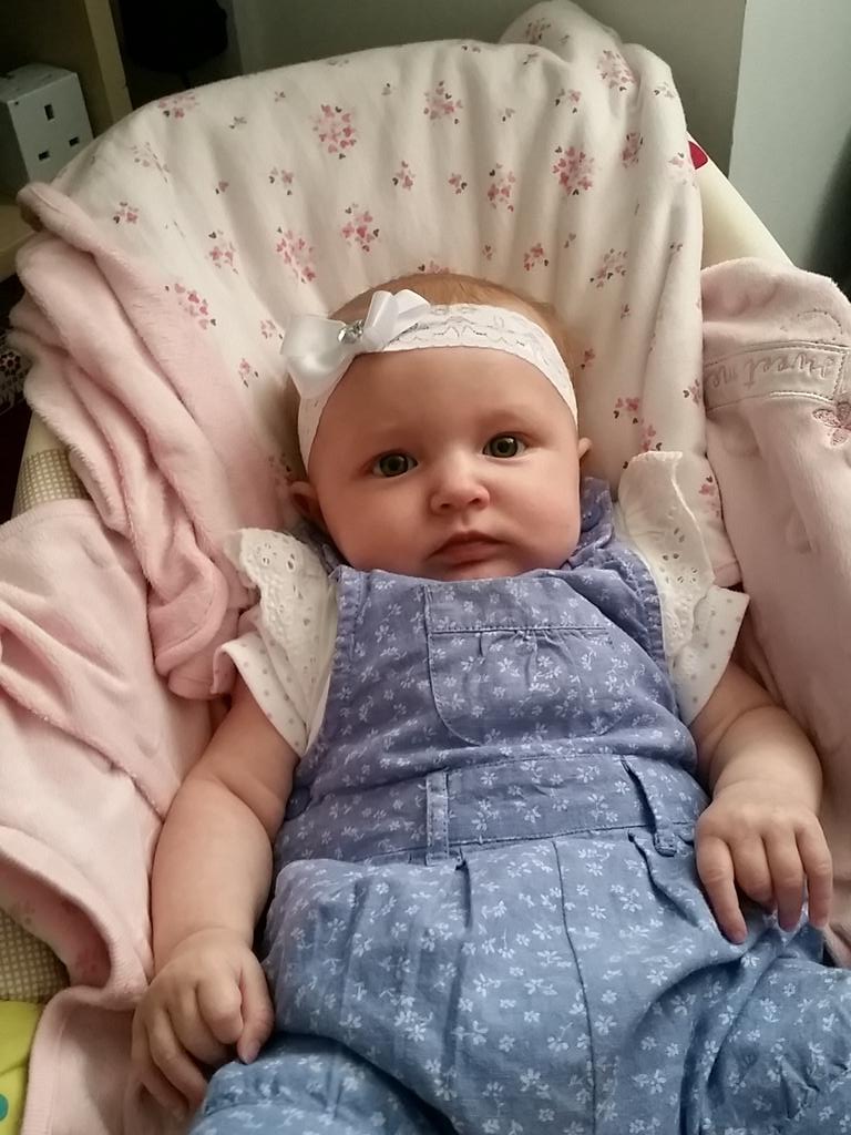 SaffronAmber88's tweet photo. Playing with this cutie is so much more fun than stats #phdchat http://t.co/jqaRxT9Rrk