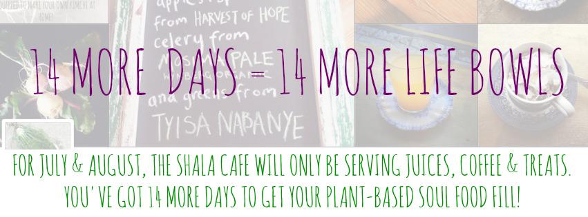theshalacafe's tweet photo. Only 14 days left to get your #plantbasedsoulfood fix! As of July + August we're only serving drinks, coffee+snacks http://t.co/VvXcf2owxP