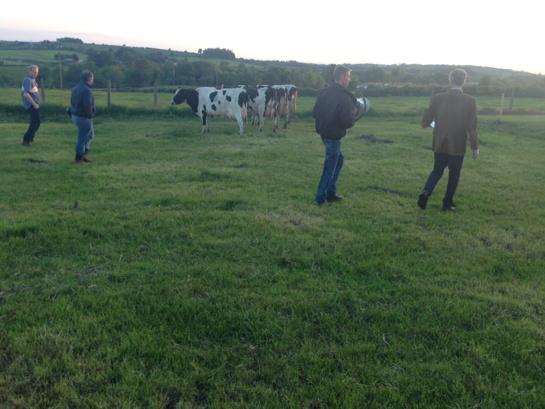 Roslyn Kelly tweet media