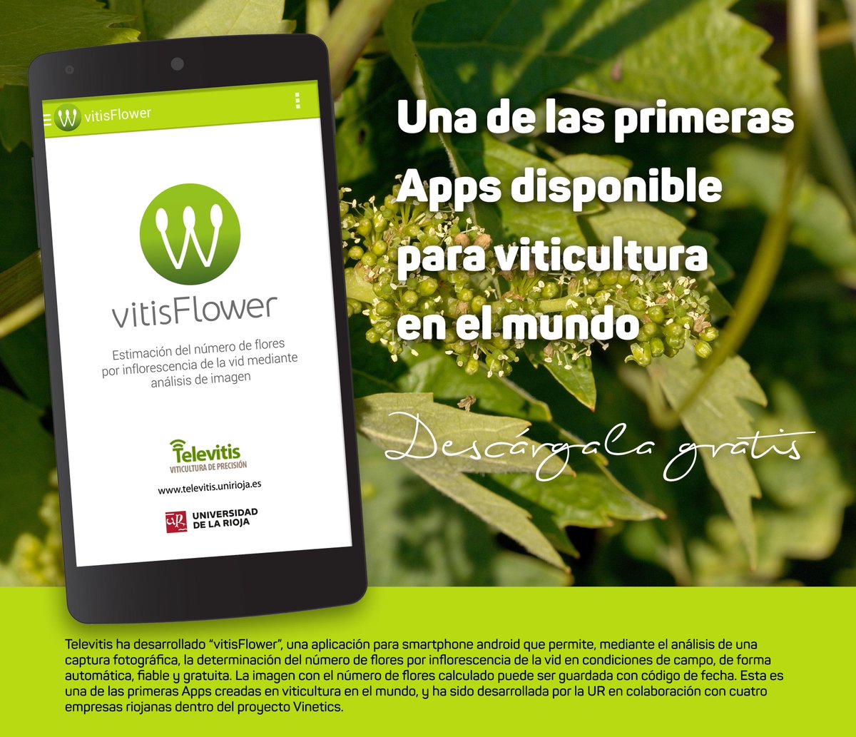 Televitis's tweet photo. vitisFlower, one of the first apps for Viticulture to count the # of flowers per inflorescence in the field! http://t.co/adkk9uRoZO