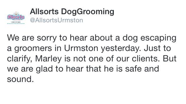 allsorts dog grooming