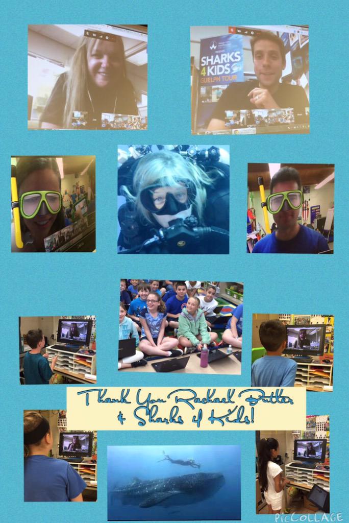 Megan Kaiser (@ldsmkaiser) on Twitter photo Awesome <a href="/GoogleHangout/">Google Hangout</a> session to learn about sharks! <a href="/rachelhbutler/">Rachel Butler Scott</a> <a href="/Sharks4Kids/">Shark Education</a> @LDS_MisterG <a href="/LDS_tech/">Monica Hittinger</a>
Thank You! Awesome <a href="/GoogleHangout/">Google Hangout</a> session to learn about sharks! <a href="/rachelhbutler/">Rachel Butler Scott</a> <a href="/Sharks4Kids/">Shark Education</a> @LDS_MisterG <a href="/LDS_tech/">Monica Hittinger</a>
Thank You!