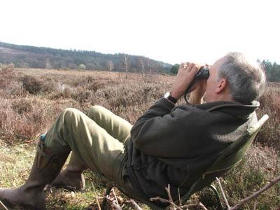 Now looking for a Hobby nest in The New Forest to put live on the internet. It's a big world out there!