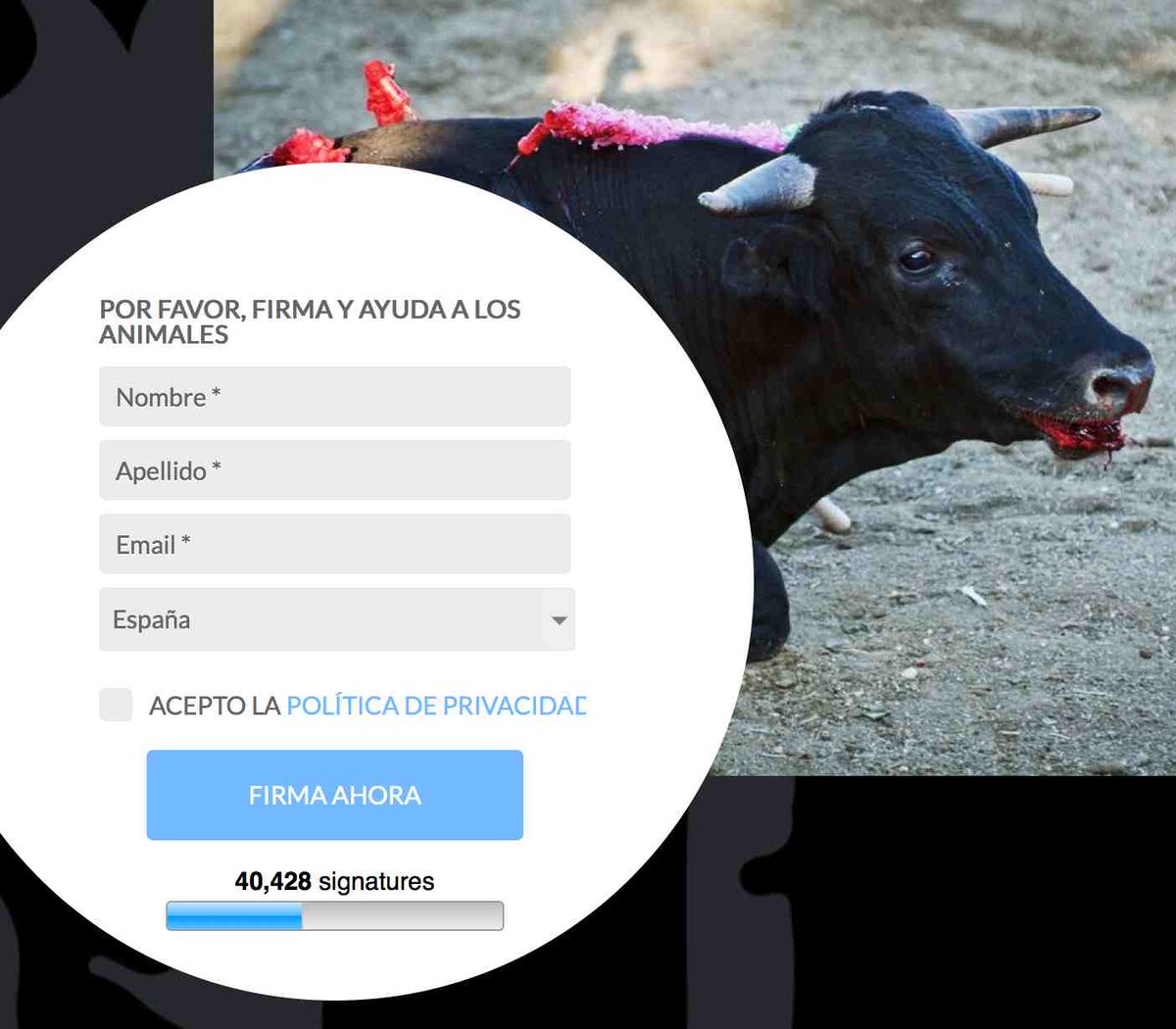 IgualdadAnimal's tweet photo. Igualdad Animal consigue 40.000 firmas en una semana denunciando los festejos taurinos http://t.co/yqHDbUTU4p ¡RT! http://t.co/yI5m9jTD1i