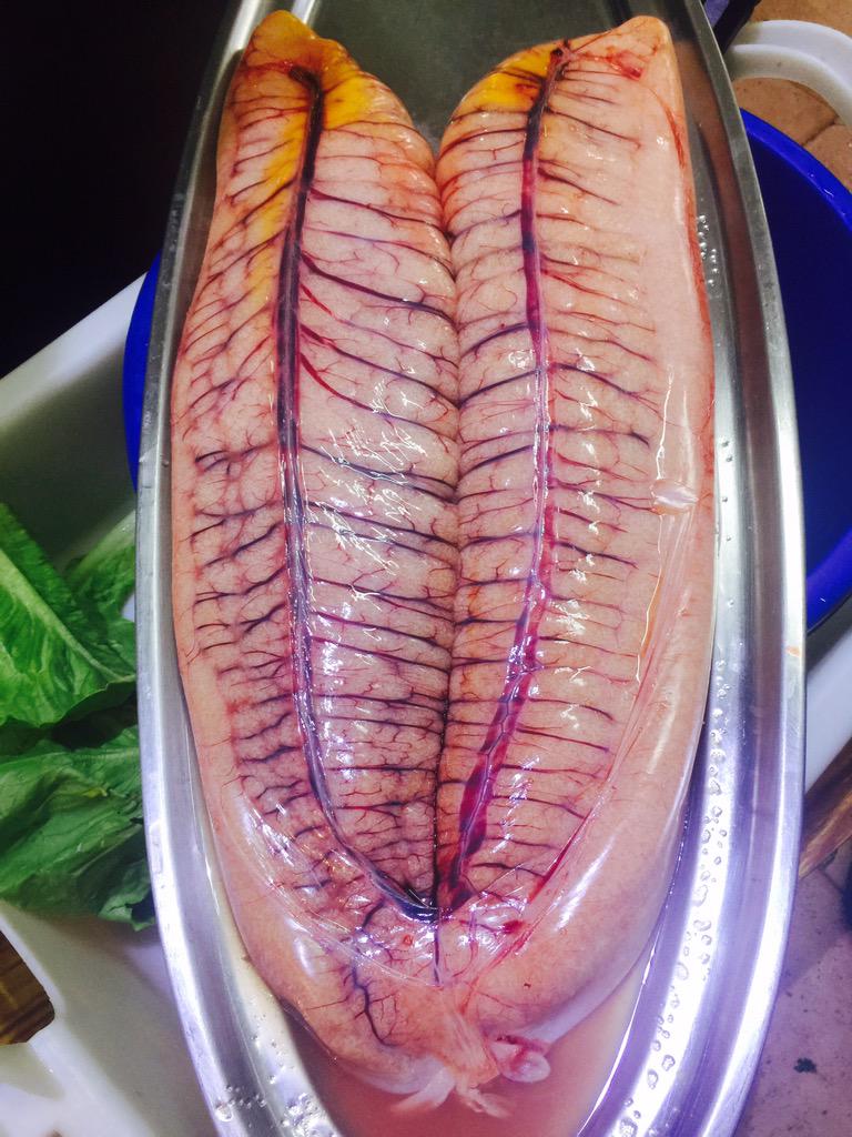 ChefInchausti's tweet image. 3,740kg de caviar de corvina k espectacular