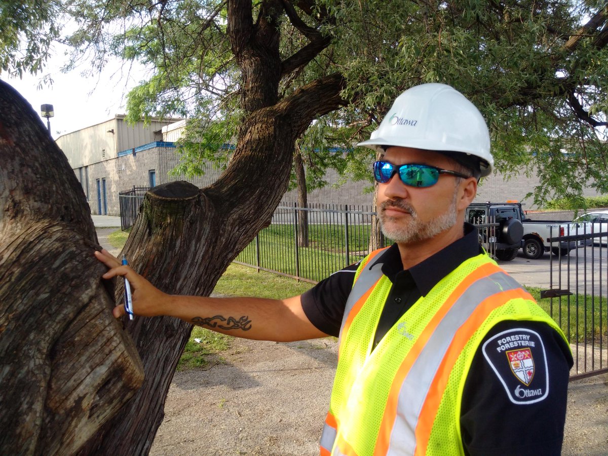 ArborCanada's tweet photo. Love the #CityofOttawa #TreeInspector #Uniform ...first time I have seen officer  dress for tree inspectors, very PRO http://t.co/B5Z3oKQKcP