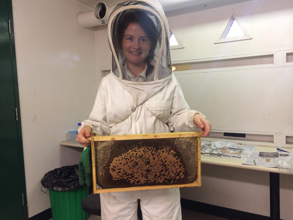 Embedded image permalink