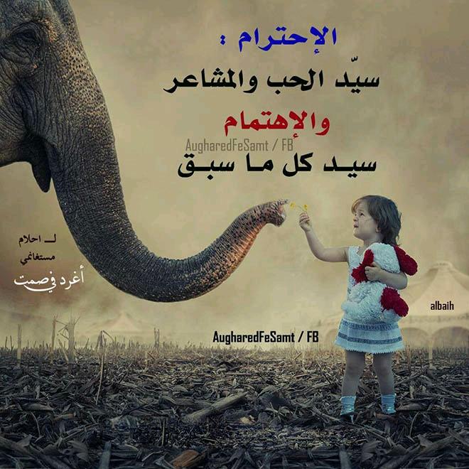 **دنيا اﻻمل** (@minhoch76) on Twitter photo 