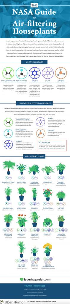 socalharvest's tweet photo. Air filtering #houseplant guide from @NASA! http://t.co/2ECGPBWFAK