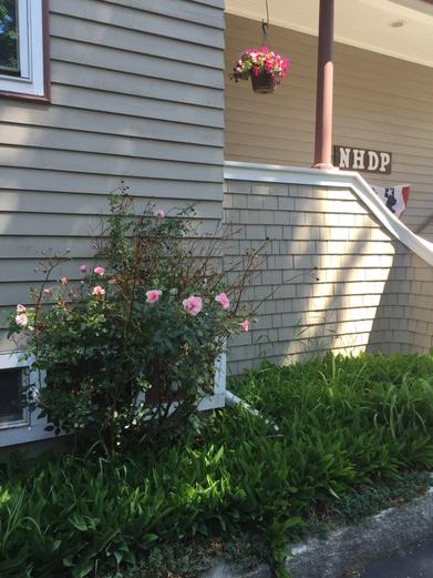 ChairmanBuckley's tweet photo. While chaos reigns in the ranks of @NHGOP everything coming up roses at @NHDems! #2016Victory  #nhpolitics http://t.co/xlMPfTI4Ft