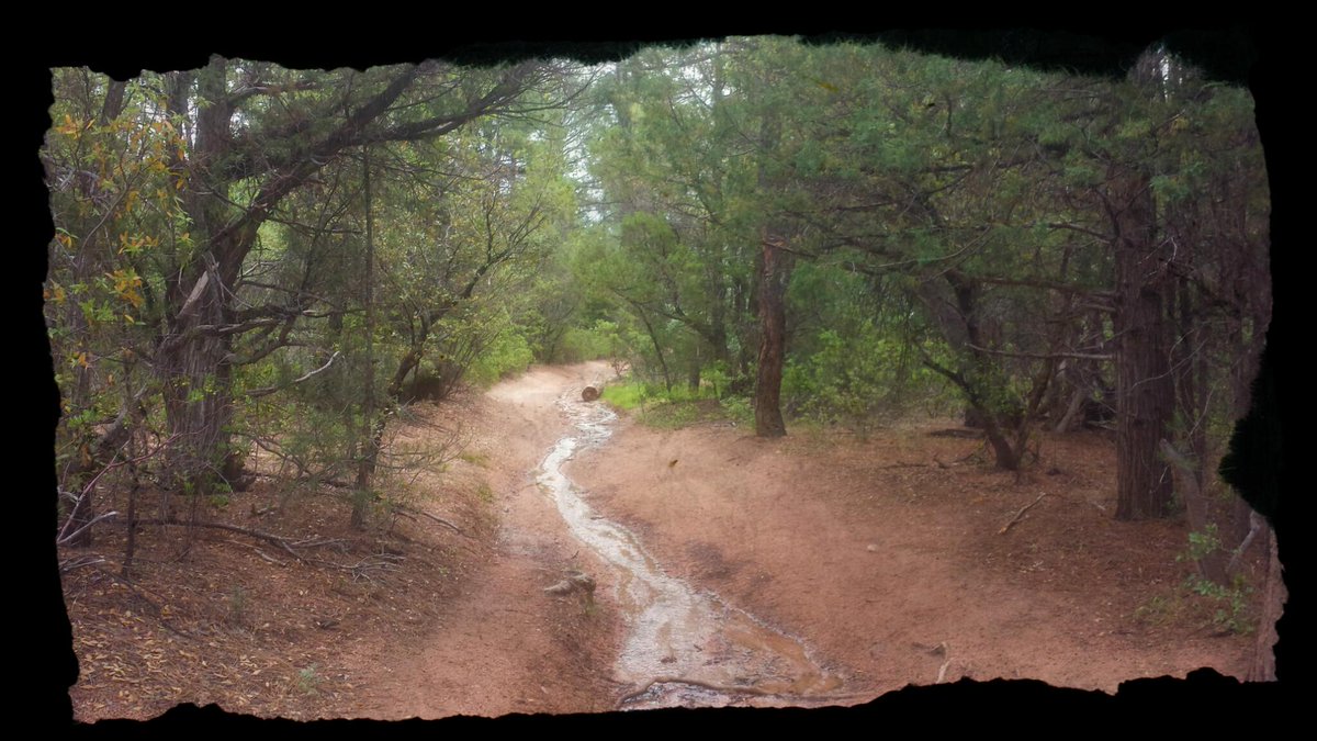runDRHS's tweet photo. Little muddy-still a greatTrailRun! 39days til XCcamp!⛺🌲👟 keep training!Practice is proven in performance!#GOJAGS🐾 http://t.co/Wu7Yaee4m2