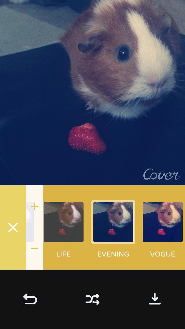 148Apps tweet media
