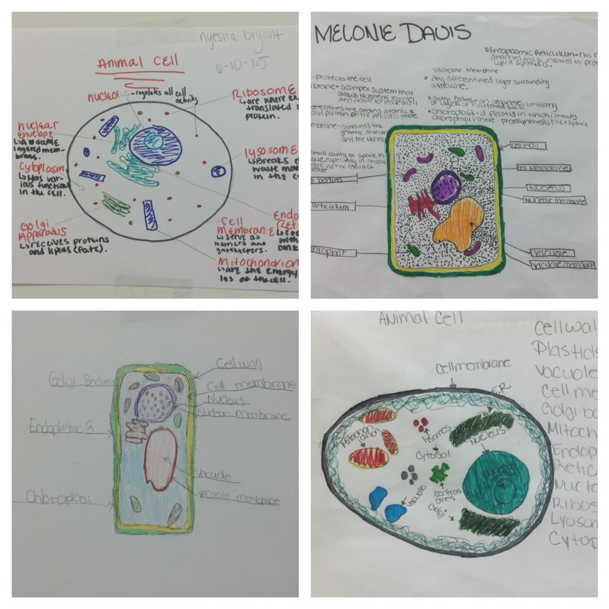 MsKBibb's tweet image. Beyond Boundaries #buildingleaders #bold2015