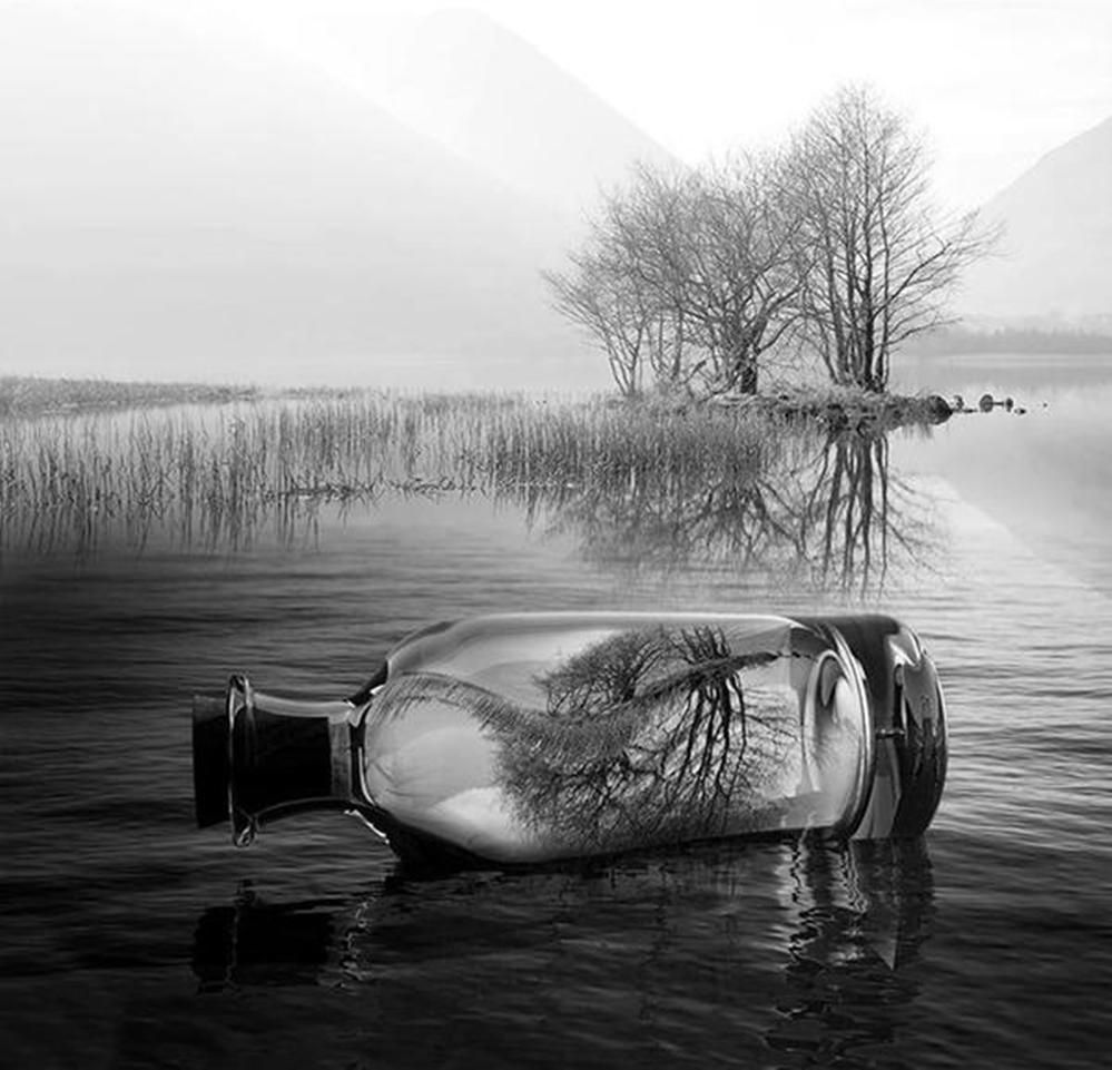 Отражение предметов в воде