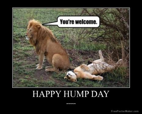 Why?... Coz it's #HumpDay and it's funny!! haha <a href="/LOL/">d</a> @FunnyPixandJoke <a href="/funnypixpage/">Funny Pictures</a>