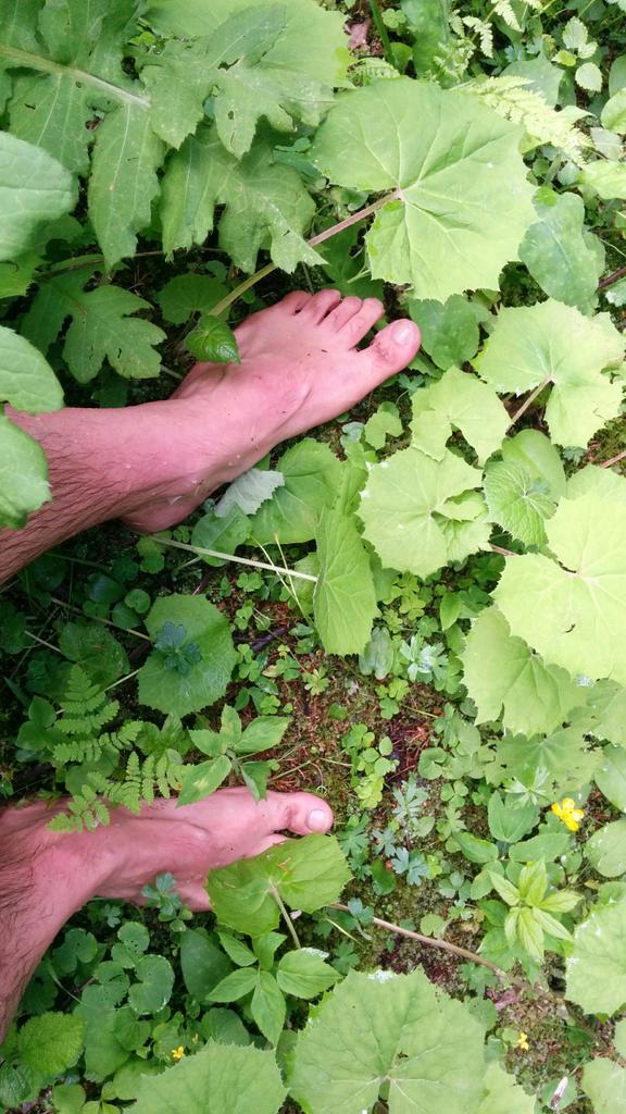 PinetaHotels's tweet photo. Sempre a disposizione! i'm a #barefootdriver @trentinonatura @GustoDolomiti @AdImpresa http://t.co/e49FNIuY9j