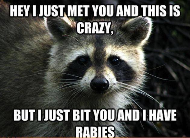 MrFaberOCPS's tweet photo. @DigitalOCPS Who asked for memes? http://t.co/PEIEOIuCuC