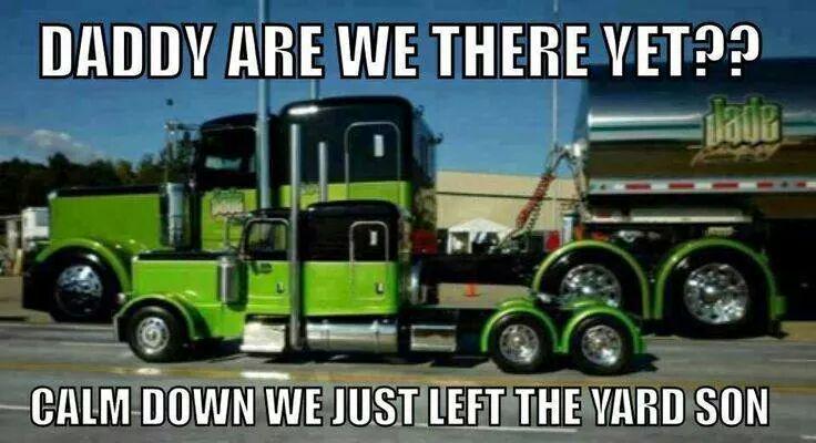 Mercer Trans tweet media