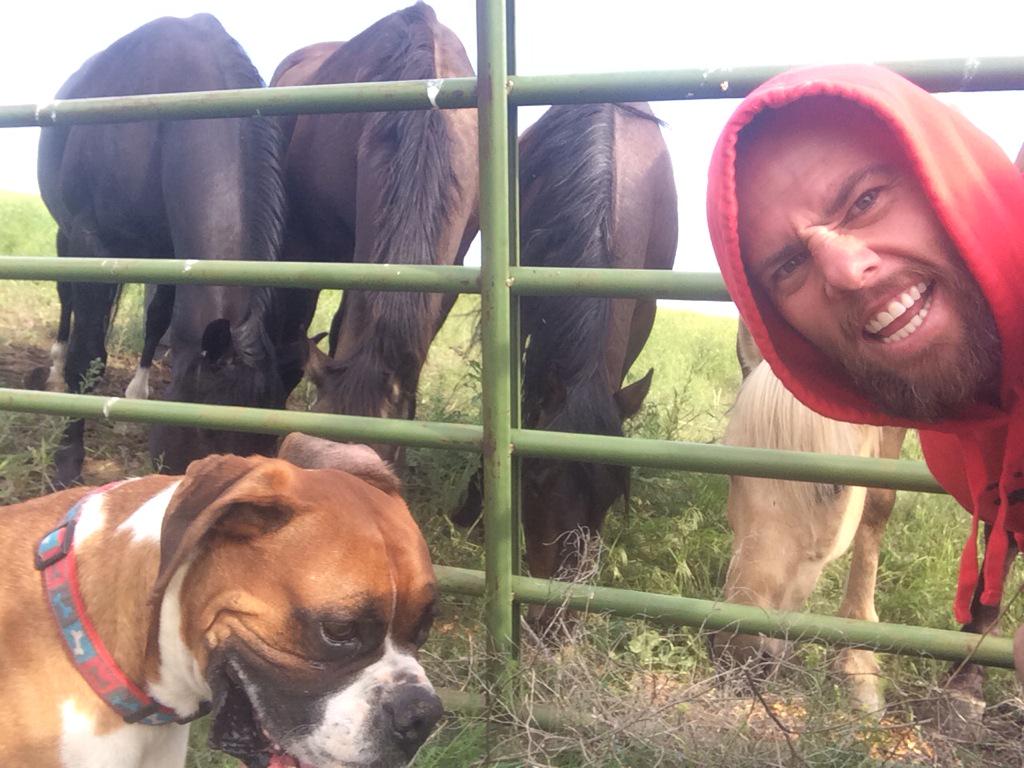 shaycarl's tweet image. Animal update...We now have 3 dogs 5 cats 4 cows (one is still missing) and 5 horses! Wanted: 3 bald eagles!
