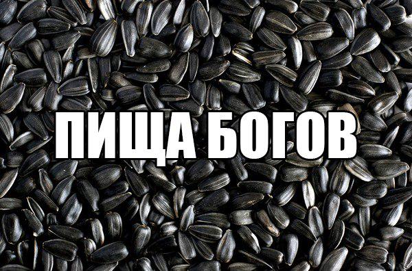 Мистика семечки. Большие черные семечки. Скажи семечки. Семечки классные. Скажи семечки.