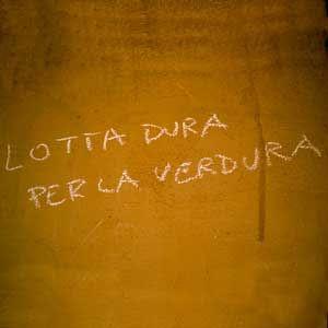 ScriptaLatrinae's tweet photo. Vita, controsensi, star e gli immensi poteri vegani oggi su #scriptalatrinae #smm15
http://t.co/g66ZdOgaa2 http://t.co/2CWViKKsOW