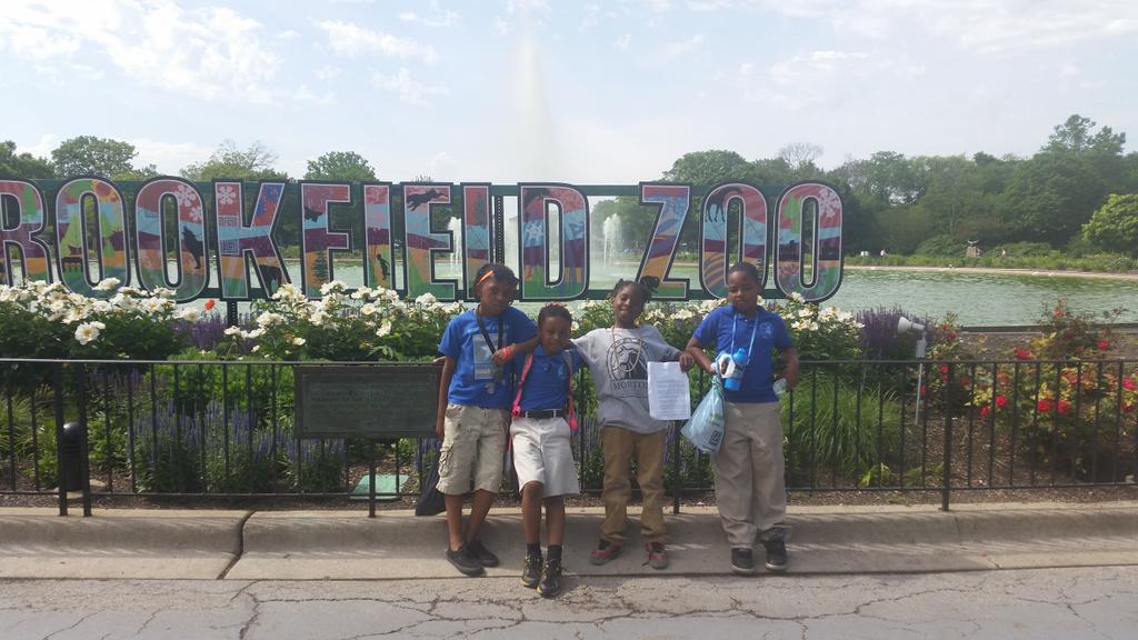 L_mitchell403's tweet photo. Its a beautiful day! @brookfield_zoo #mortonscholars @mortonmath403 http://t.co/xZGB3CYwq1