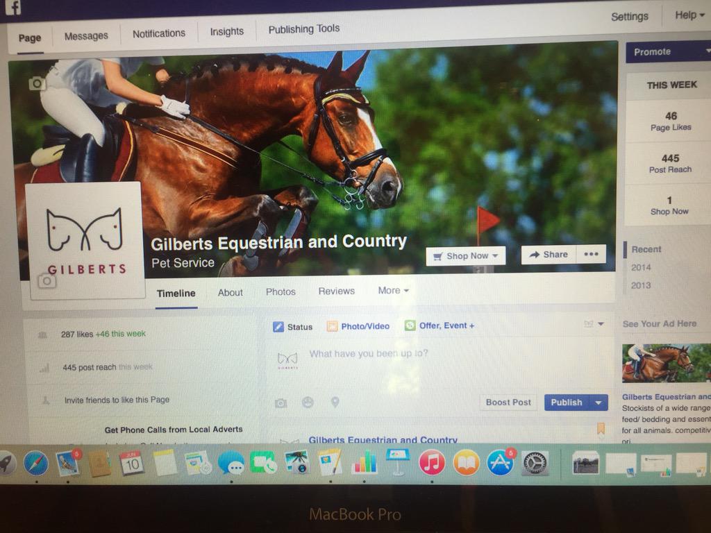 Gilberts Equestrian tweet media