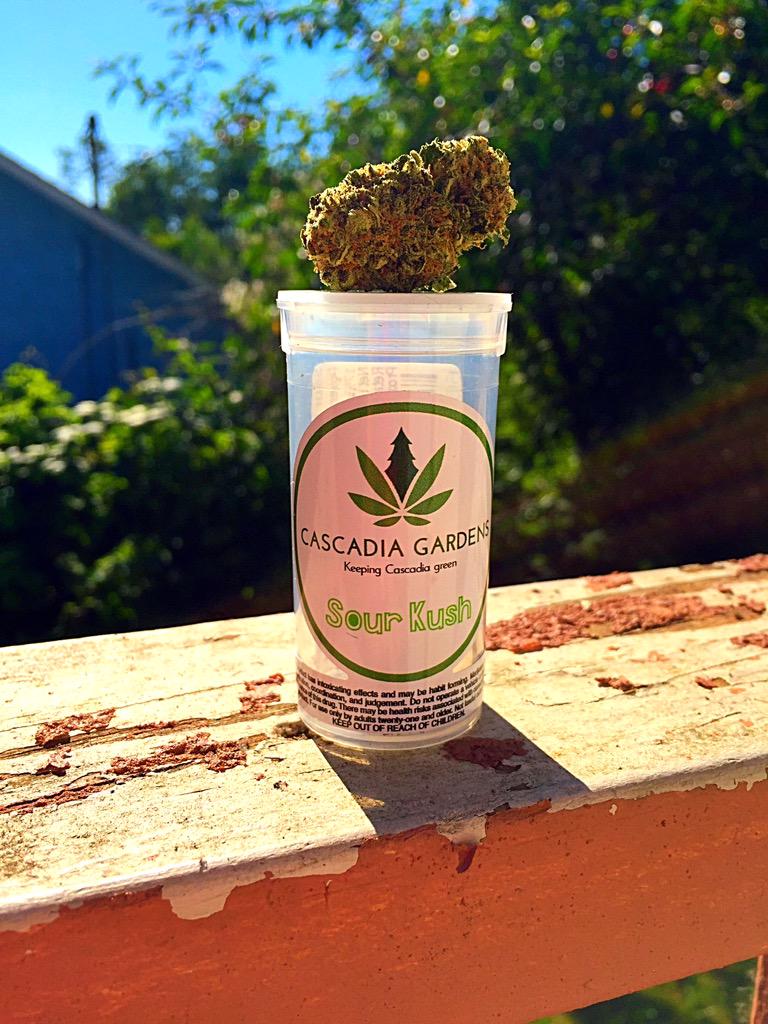 topshelf360's tweet photo. Good morning #PNW come get your #THCFix #New #Growers #G-Tech #CascadiaGardens #GrowState http://t.co/rDyNCq9H4M