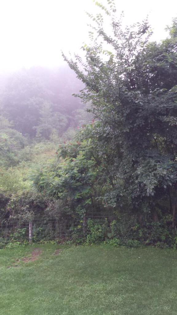 STPicMatch's tweet photo. Let's see what we can do with this excellent photo from @MaybeNora for #STPicMatch http://t.co/xjqZcuUuTi