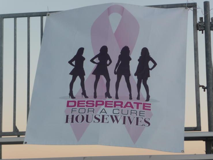 fiddler_vicki's tweet photo. Of course we have a banner!  #Passion to walk #DFACH @TheAshleyGreco @meredithshaw @OneWalkToronto http://t.co/Ssj5p1poE7