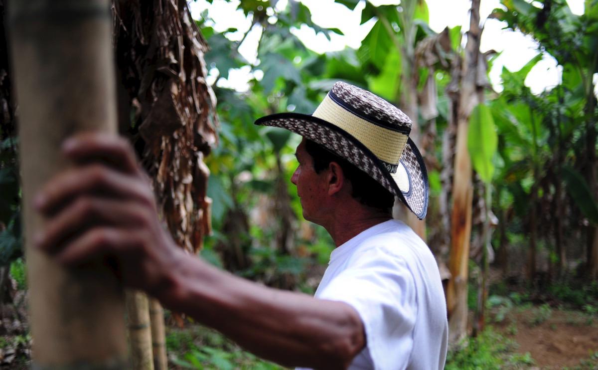 GROW2FEED's tweet photo. #ColombianCoffee’s Biggest Problem: No One Wants to Pick It! Via @modfarm http://t.co/9CgNgpuD1Q #Coffee http://t.co/Bp1FvVfNER