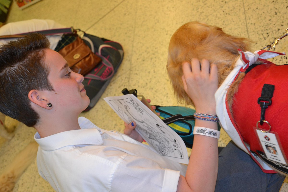 hcwethenorthend's tweet image. Therapy dogs in the house helping the Army prepare for exams #bleedgreen #LoveDogs #HeadScratch #SummersAlmostHere