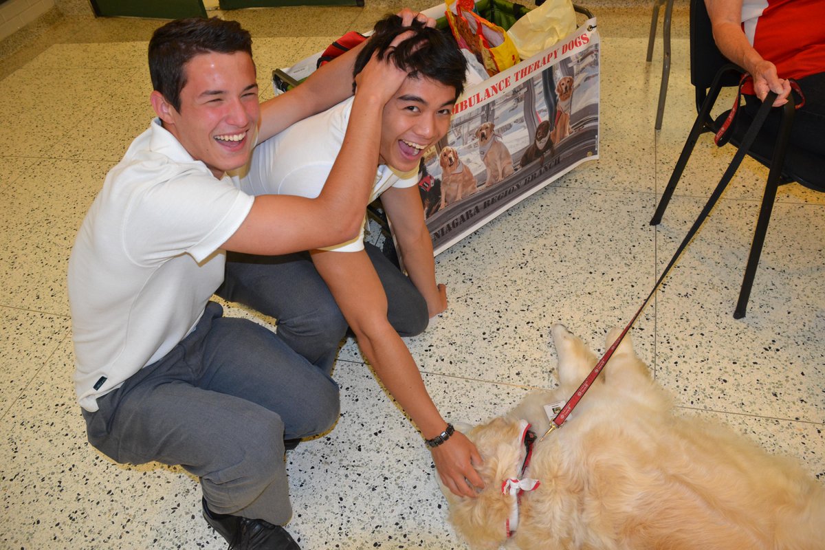 hcwethenorthend's tweet image. Therapy dogs in the house helping the Army prepare for exams #bleedgreen #LoveDogs #HeadScratch #SummersAlmostHere