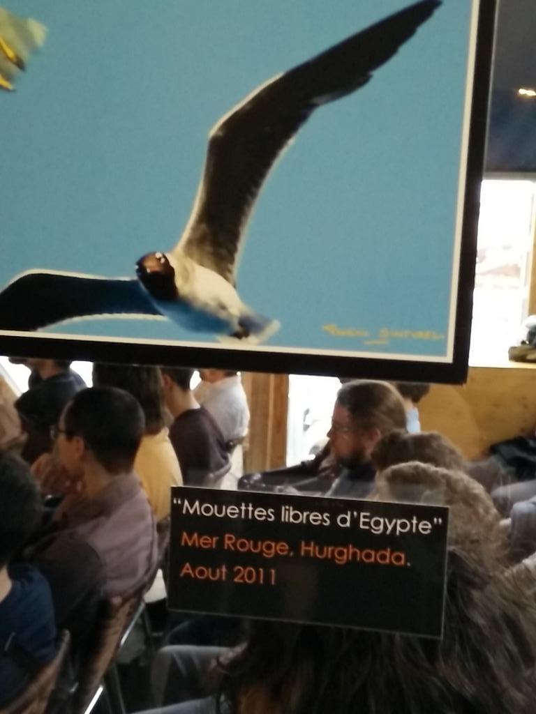 themouette's tweet image. Vu en marge de l&apos;#APIHour