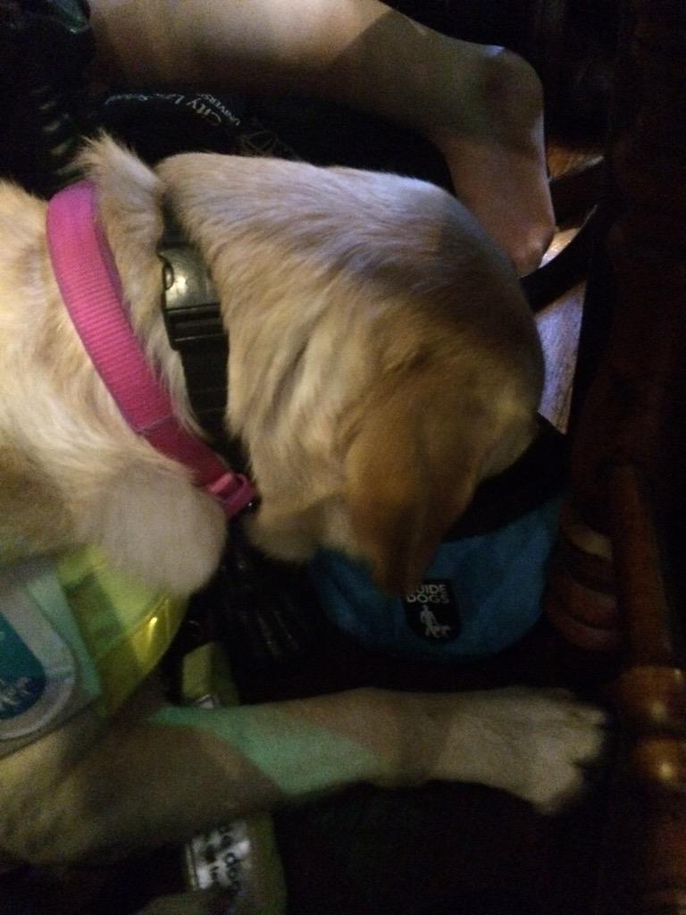 gd_rishton's tweet photo. Under table noms #classyhat http://t.co/YM9f01VcwS