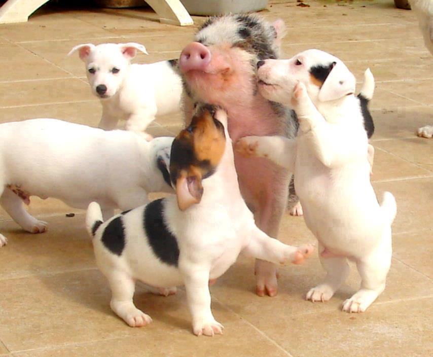 Aww.. Cut it out guys.