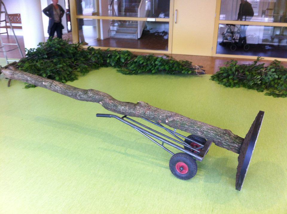 Ons project centrale hal DeGroenling in Panningen <a href="/gempeelenmaas/">gemeente peelenmaas</a> nadert letterlijk hoogtepunt met planten van boompje