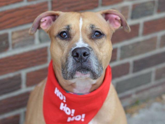 Southern Pride tweet media